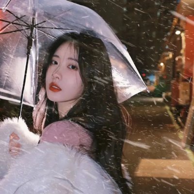 美人记·昭君